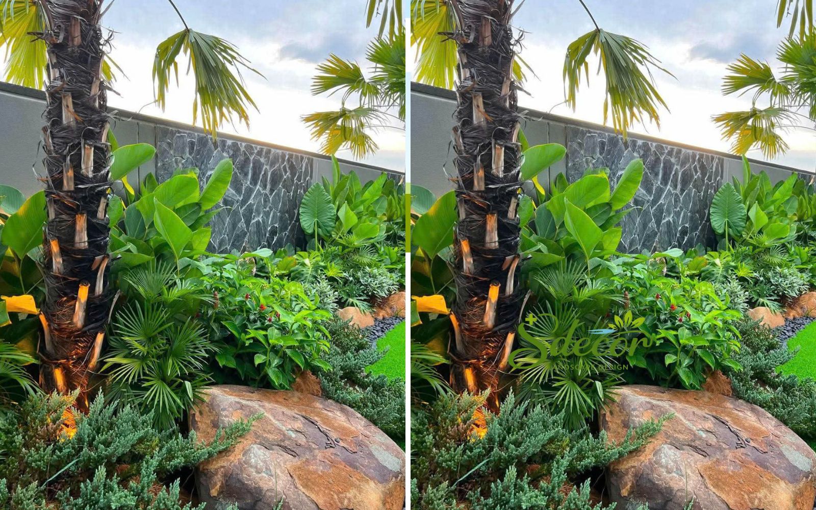 Thiết kế sân vườn nhiệt đới nhiều màu sắc