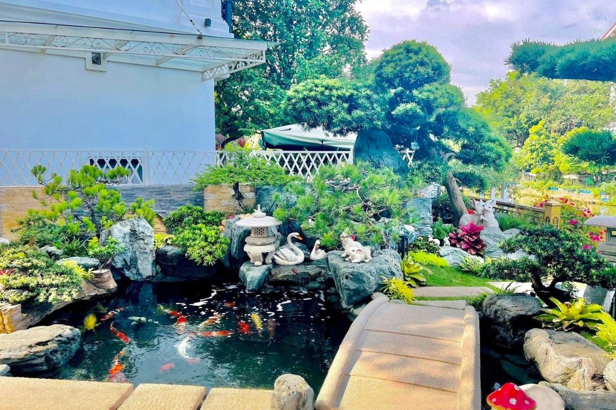 Thiết kế hồ cá Koi cho sân trước