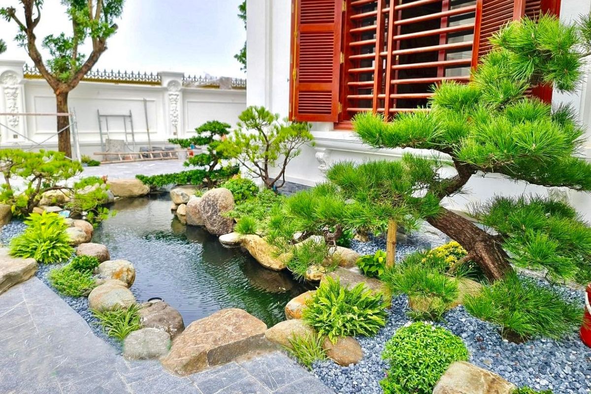 Hồ ca koi đẹp trước nhà