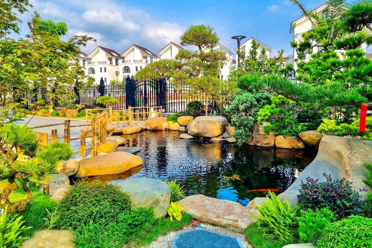Hồ cá Koi đặt trước nhà tạo nên mối liên kết mềm mại giữa kiến trúc và cảnh quan