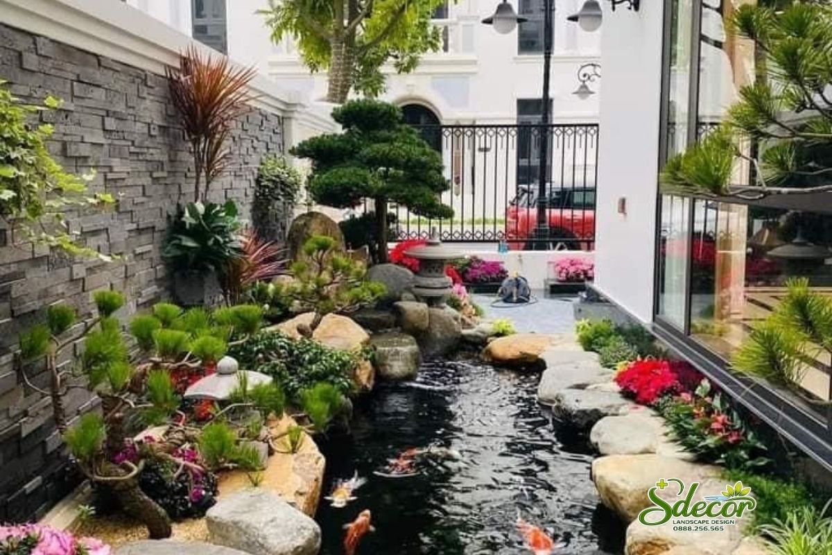 Hồ cá koi sdecor thi công ngoài trời