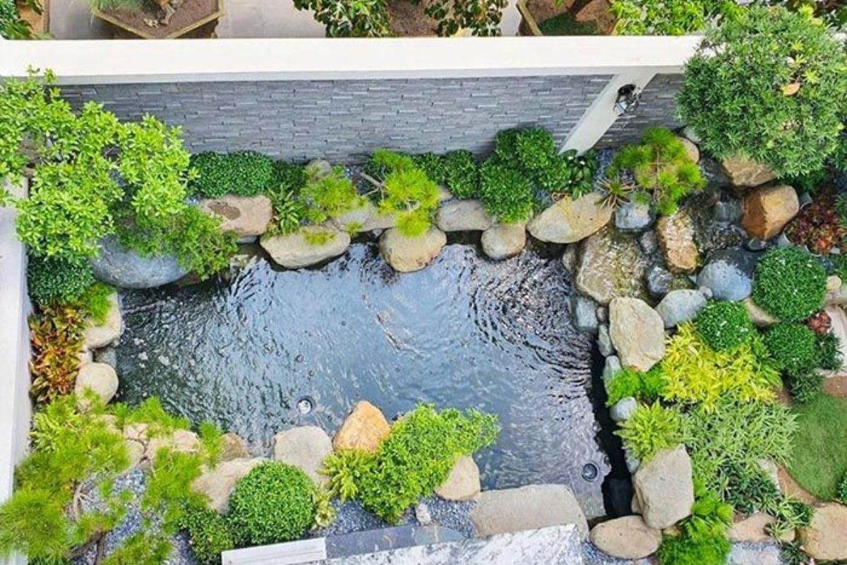 Sdecor thi công hồ cá koi phong thủy