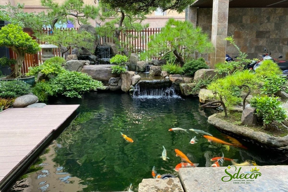 Hồ cá koi trước nhà phong thủy