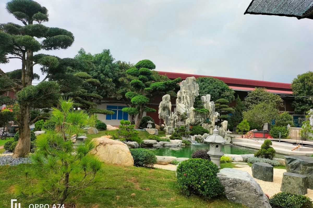 Hồ cá koi có thác núi non bộ tuyết sơn