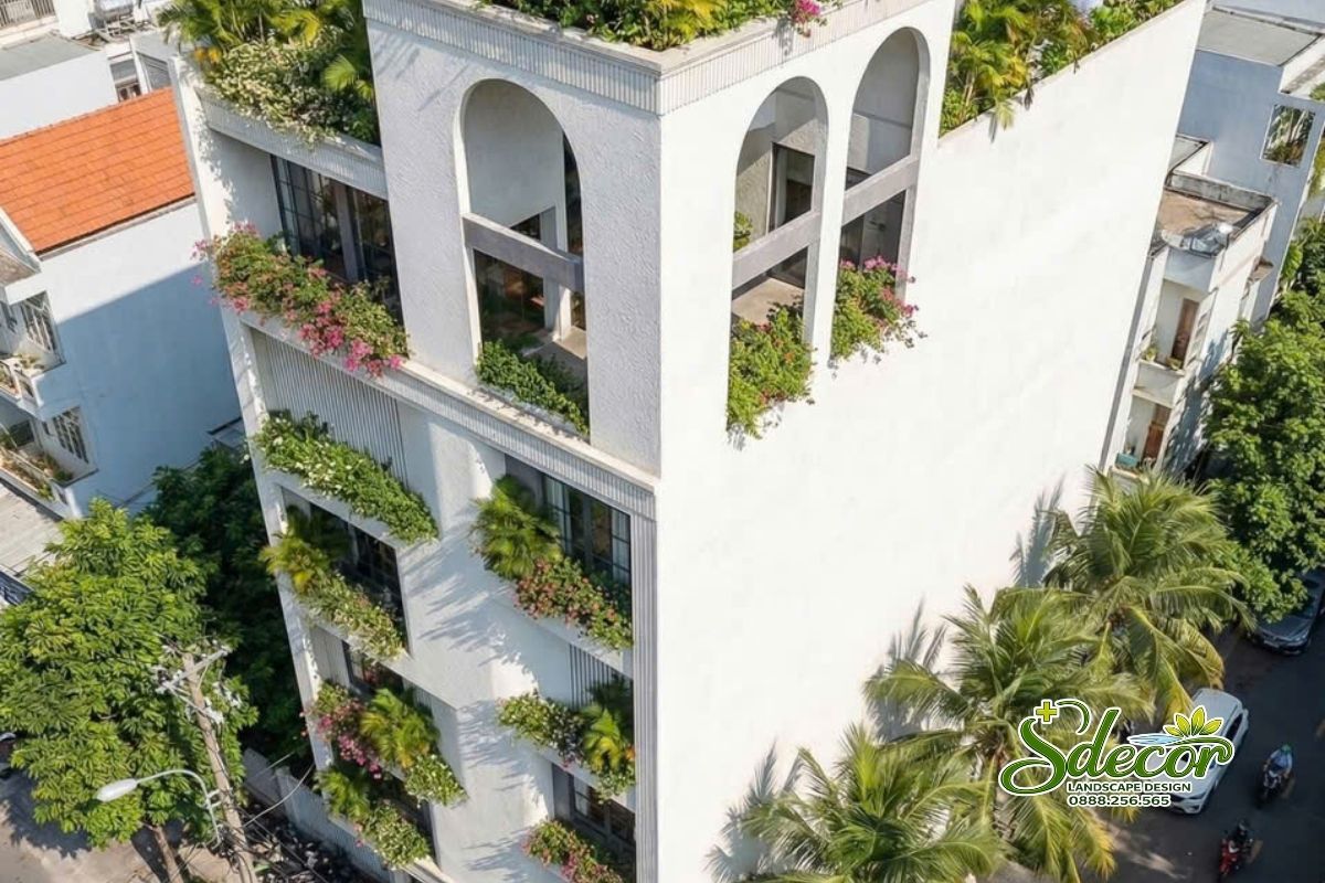 Thi công cảnh quan sân vườn nhà phố