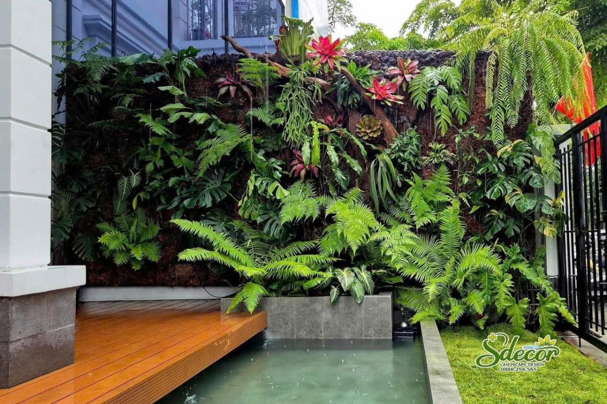 Thiết kế sân vườn nhiệt đới