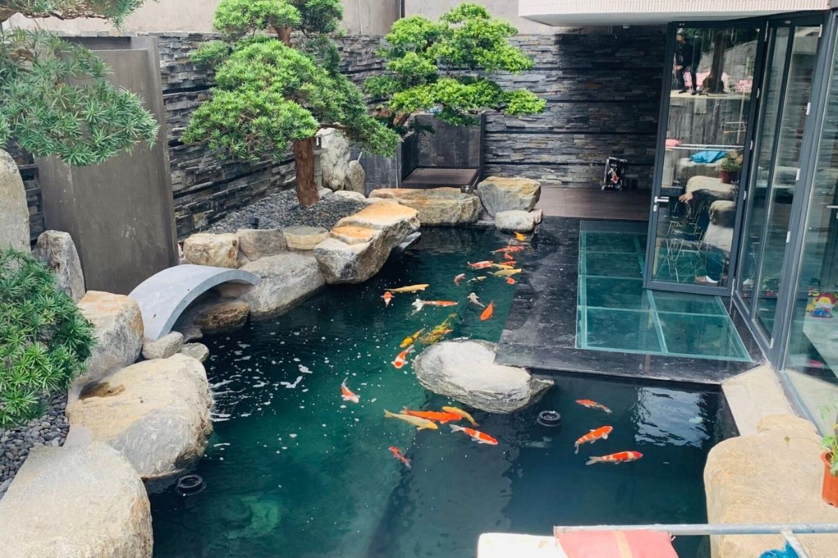 Thi công san vườn hồ koi bài bản từ đầu