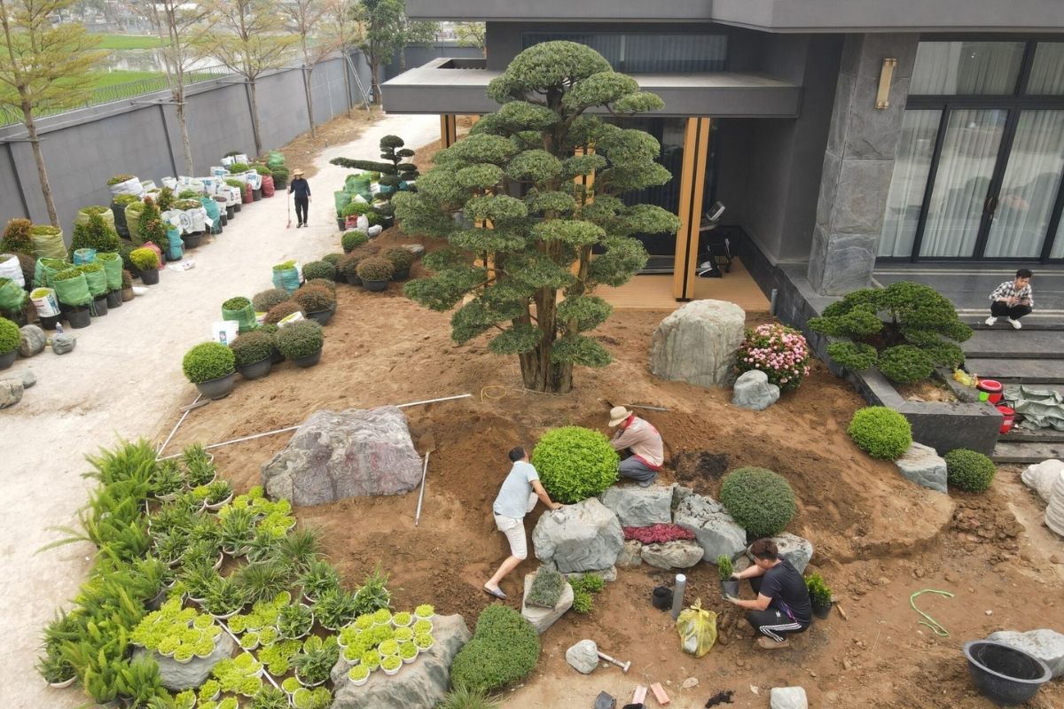 Thi công sân vườn khi có thiết kế