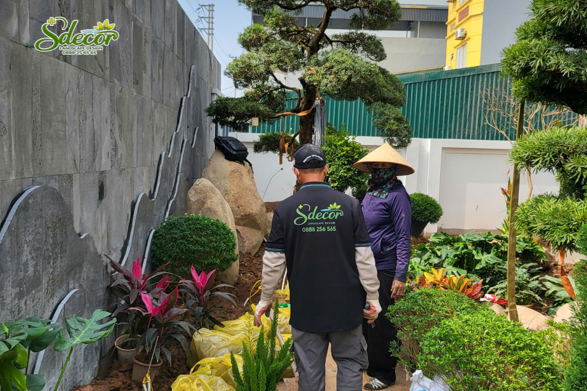SDecor thi công sân vườn Nhật Bản