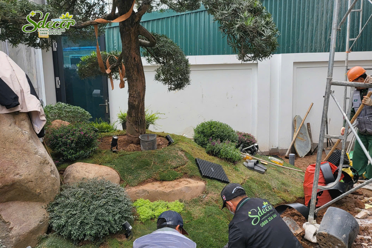 Thiết kế thi công trọn gói sân vườn