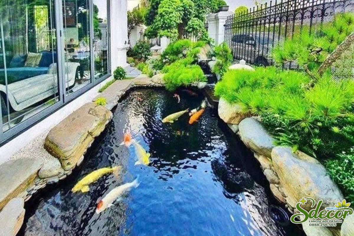 Thi công hệ thống lọc hồ cá koi chuyên nghiệp, đạt chuẩn