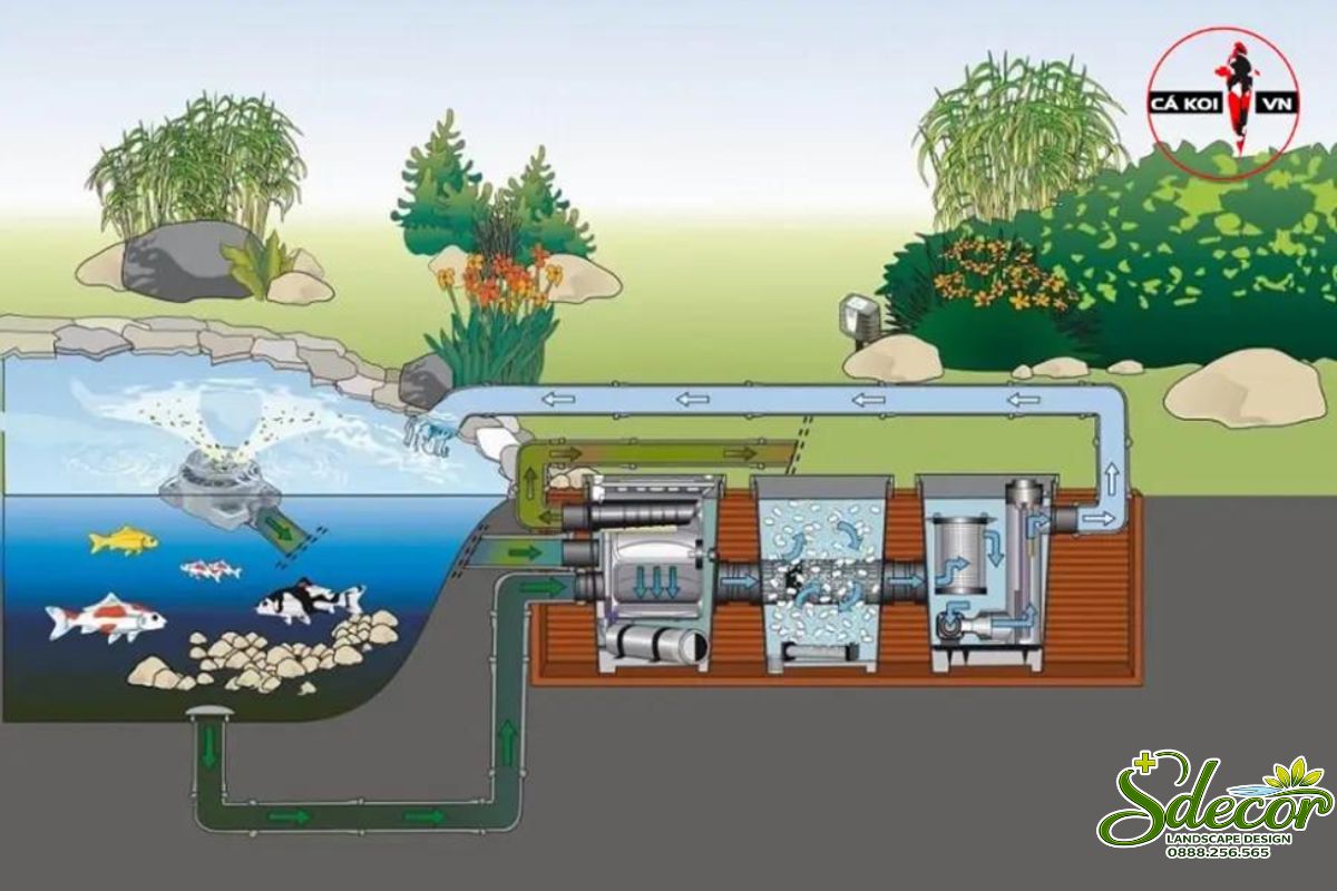 Thi công hệ thống lọc hồ cá koi đạt chuẩn kỹ thuật