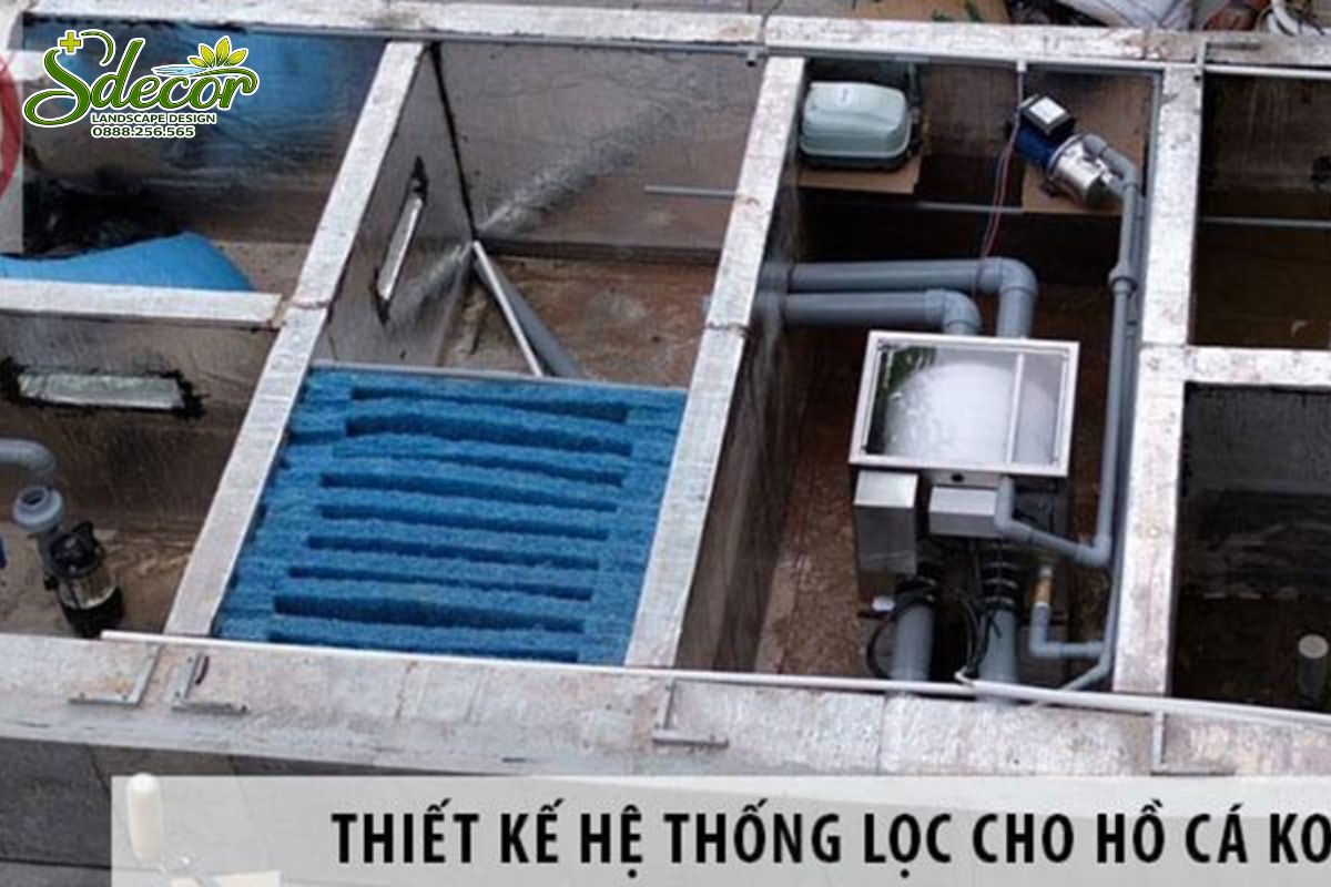 thi công hệ thống lọc hồ cá koi