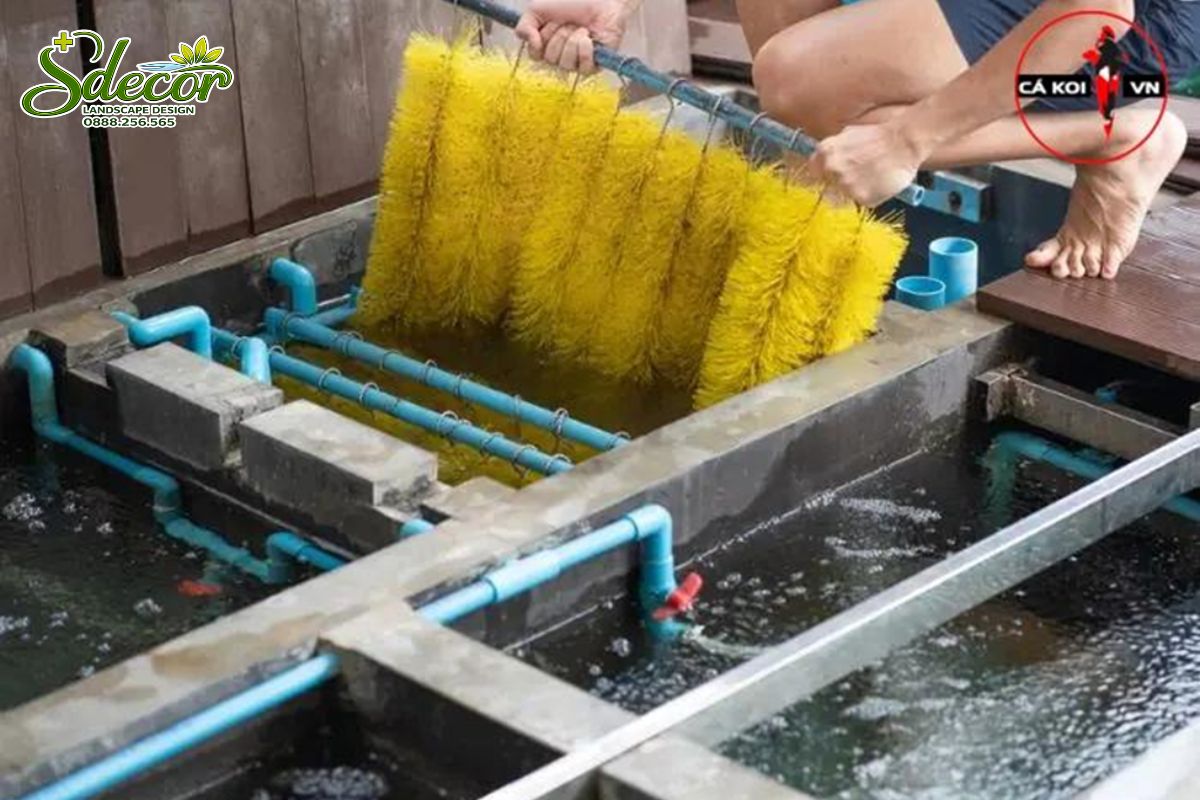 hệ thống lọc hồ cá koi đạt chuẩn